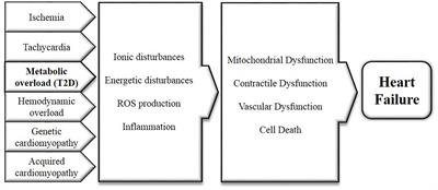 Direct Cardiac Actions of Sodium Glucose Cotransporter 2 Inhibitors Target Pathogenic Mechanisms Underlying Heart Failure in Diabetic Patients